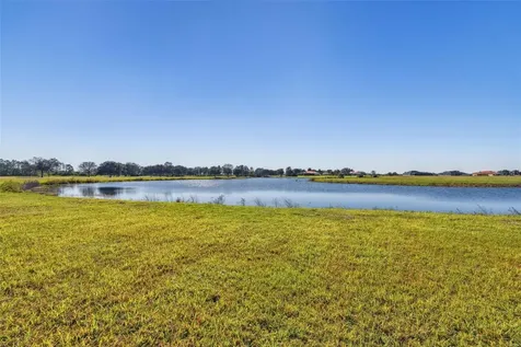 5333 Lake Venice Drive Wimauma FL 33598