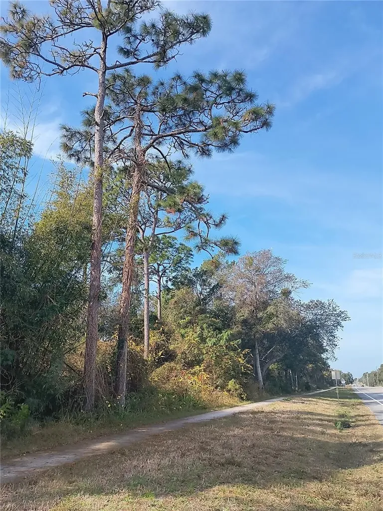 0 Doyle Road Deltona FL 32738
