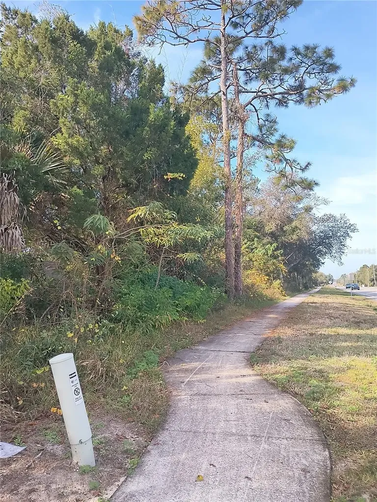 0 Doyle Road Deltona FL 32738