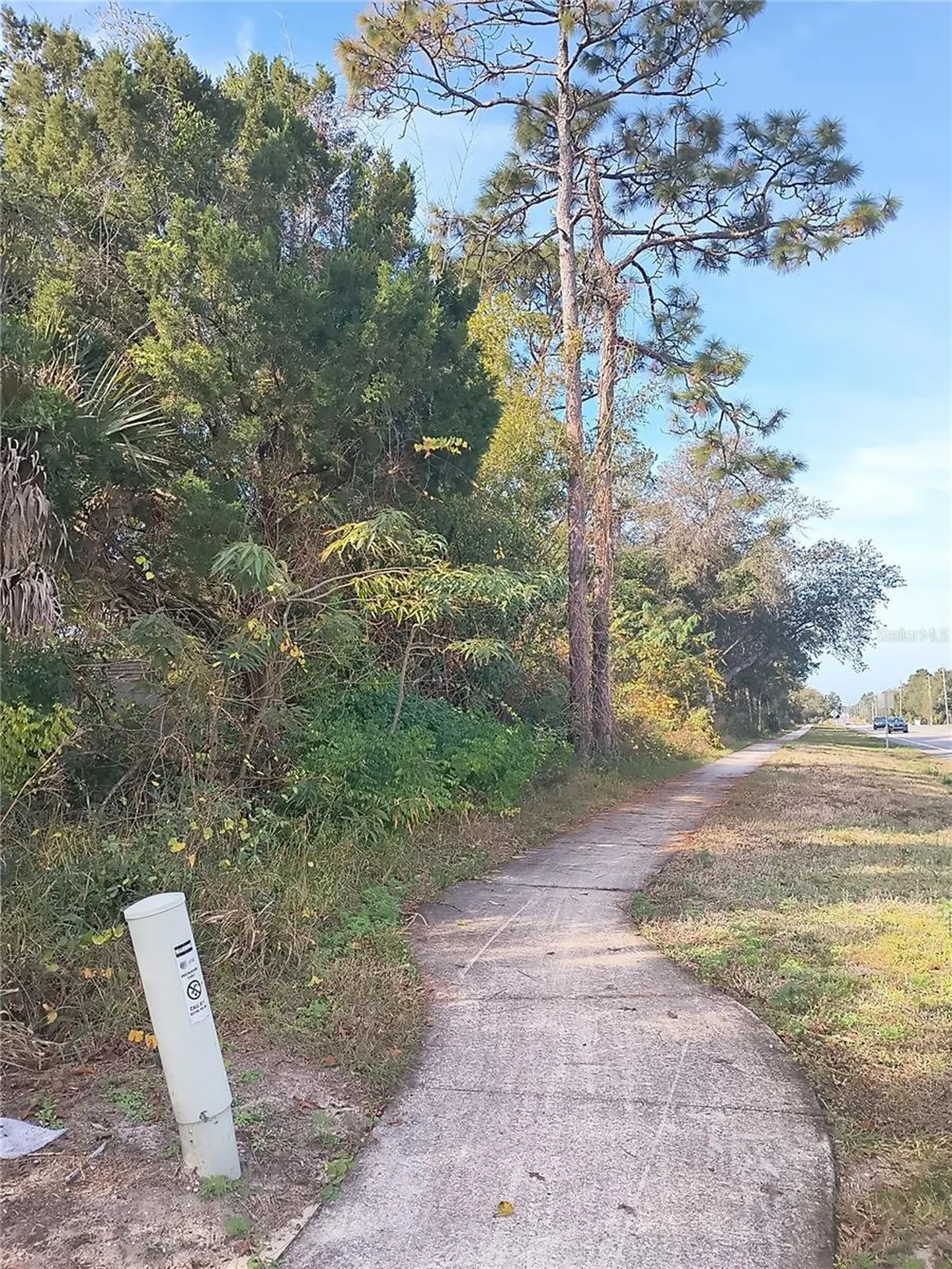 0 Doyle Road Deltona FL 32738