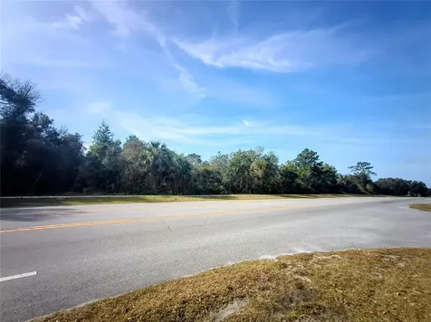 0 Doyle Road Deltona FL 32738