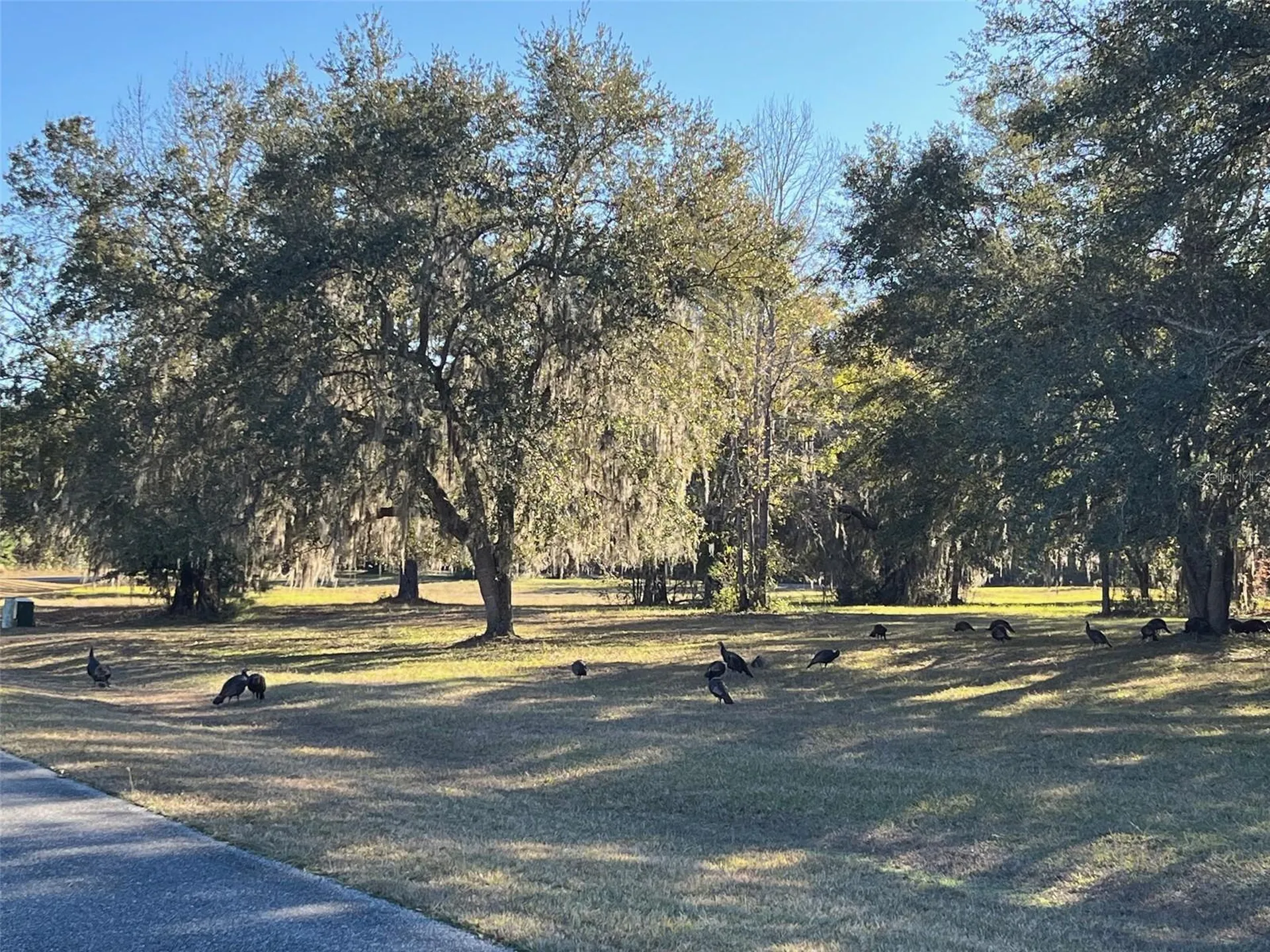 Tbd NW 148 Lane Williston FL 32696