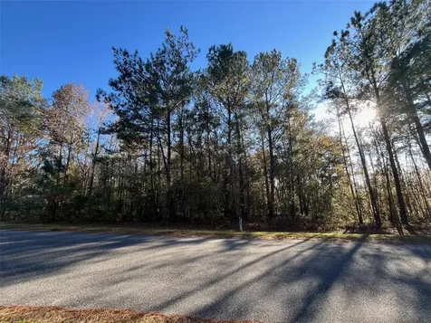 Tbd NW 148 Lane Williston FL 32696