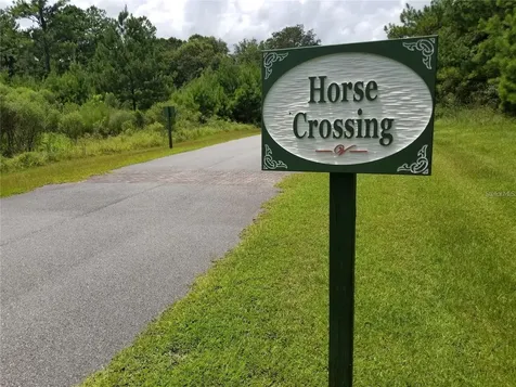 Tbd NW 148 Lane Williston FL 32696