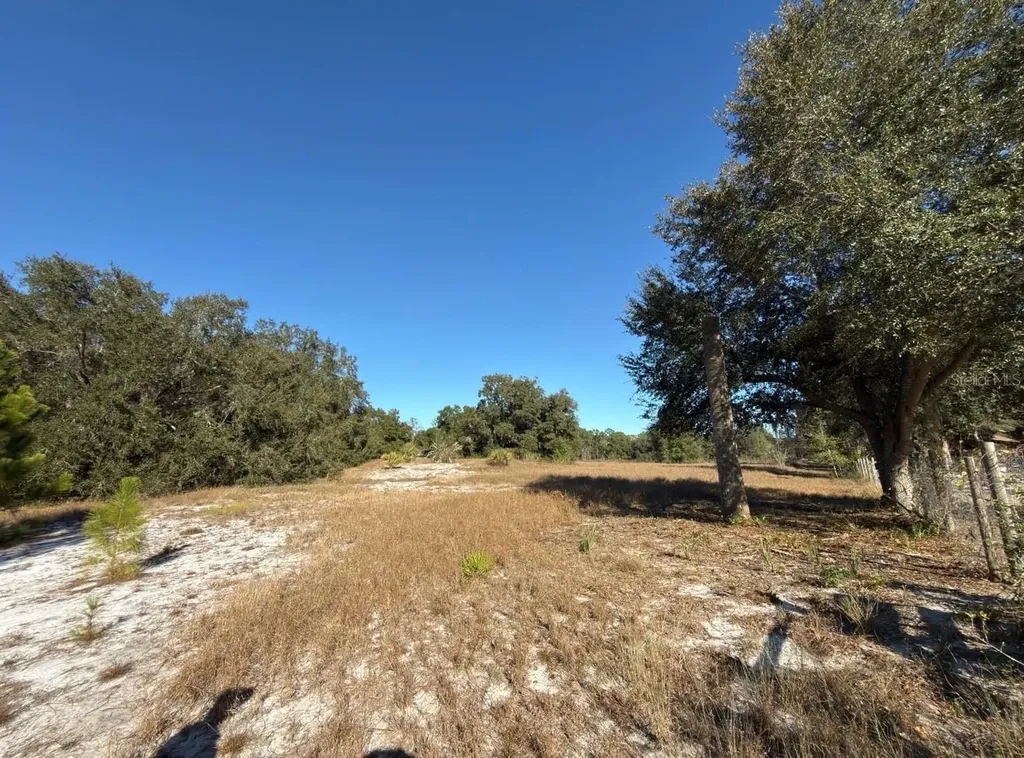 24939 County Road 33 Groveland FL 34736