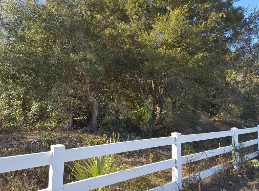 24939 County Road 33 Groveland FL 34736