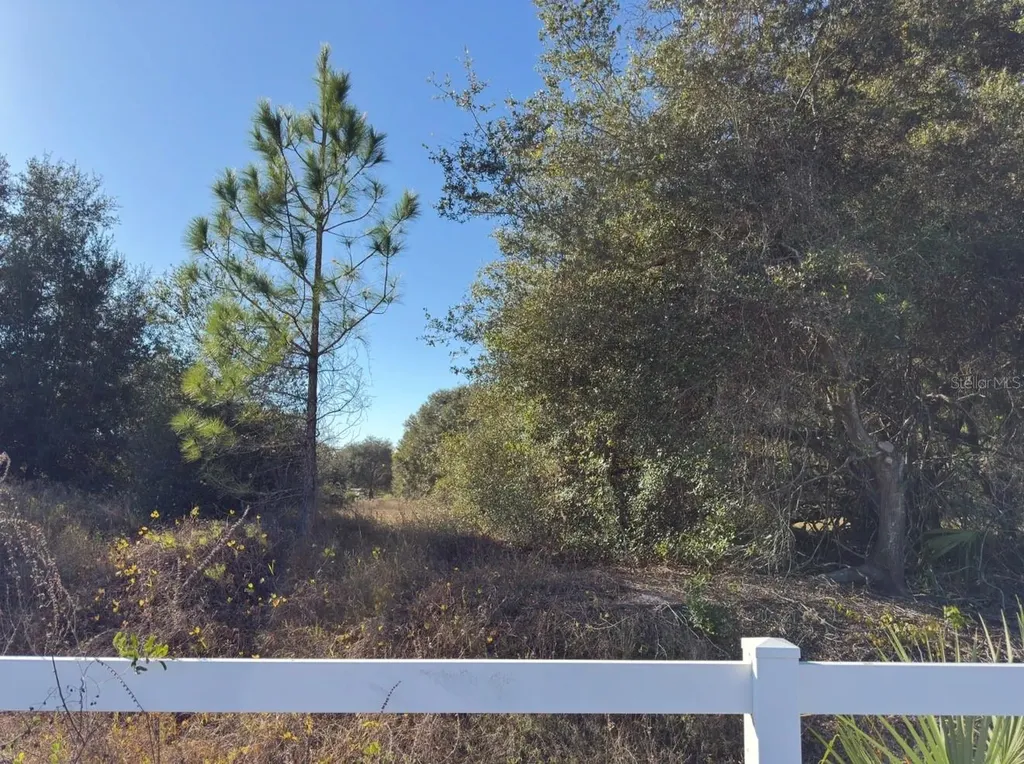 24939 County Road 33 Groveland FL 34736