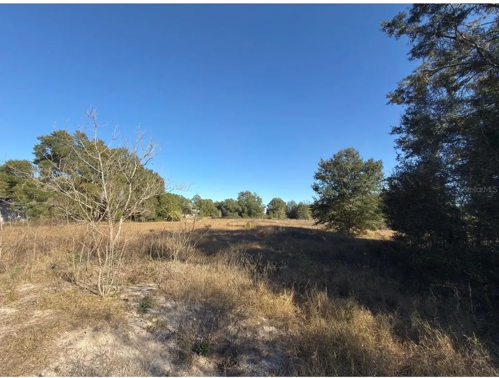 24939 County Road 33 Groveland FL 34736
