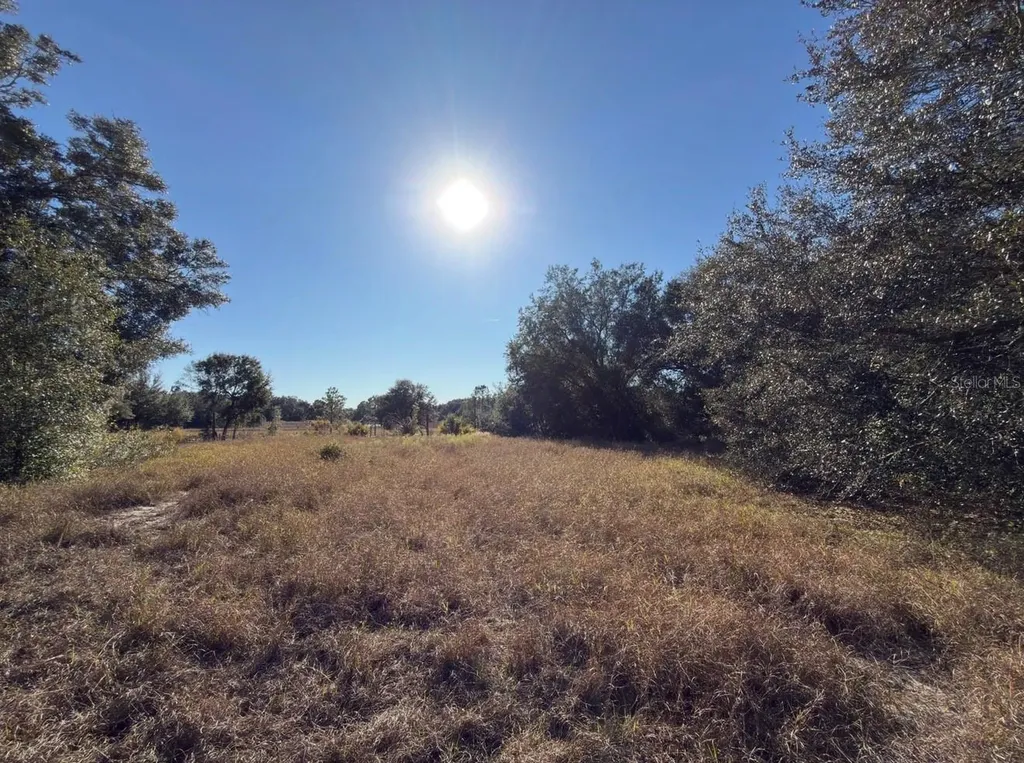 24939 County Road 33 Groveland FL 34736