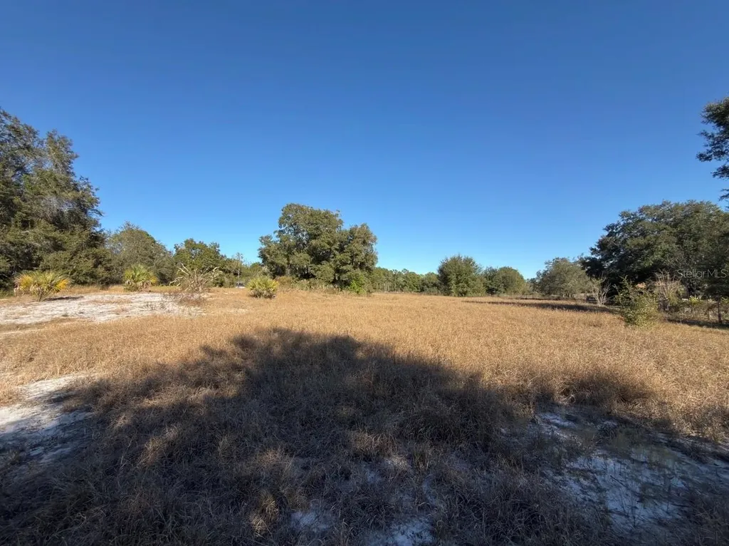 24939 County Road 33 Groveland FL 34736
