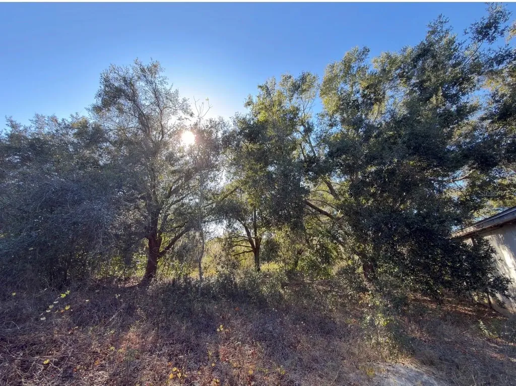 24939 County Road 33 Groveland FL 34736