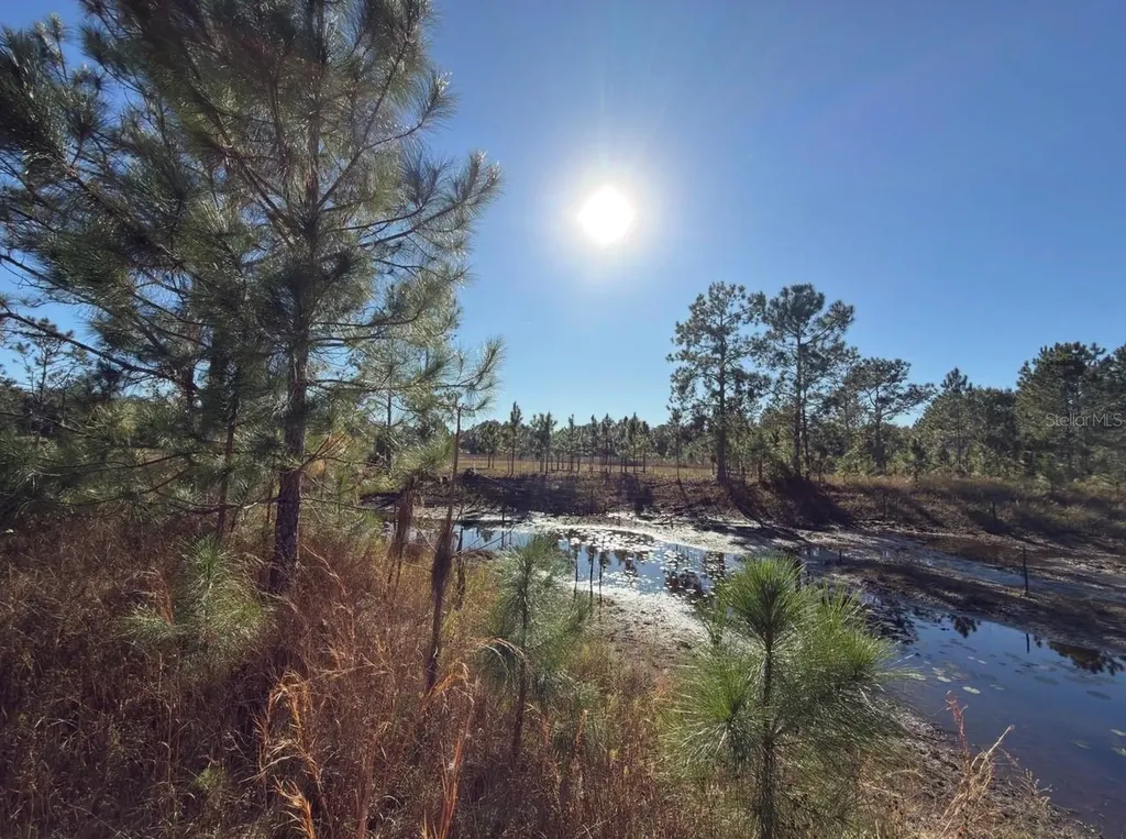 24939 County Road 33 Groveland FL 34736