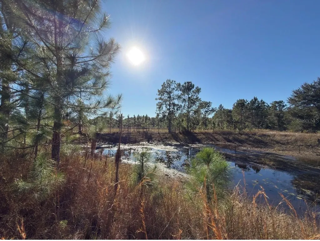 24939 County Road 33 Groveland FL 34736