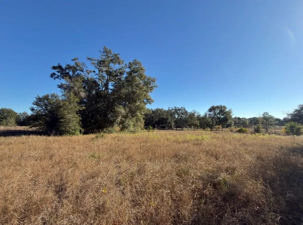 24939 County Road 33 Groveland FL 34736