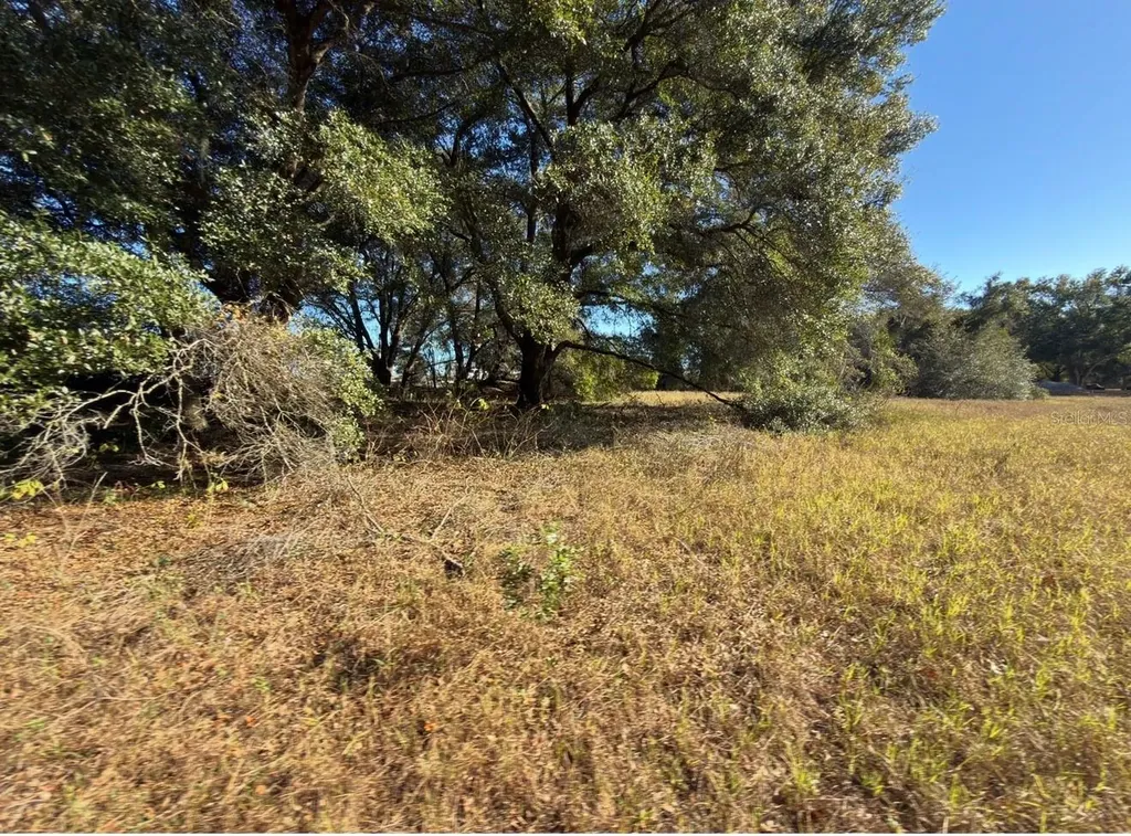 24939 County Road 33 Groveland FL 34736
