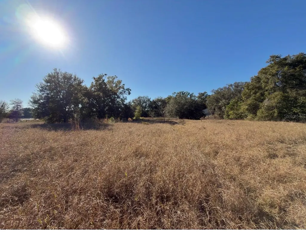 24939 County Road 33 Groveland FL 34736