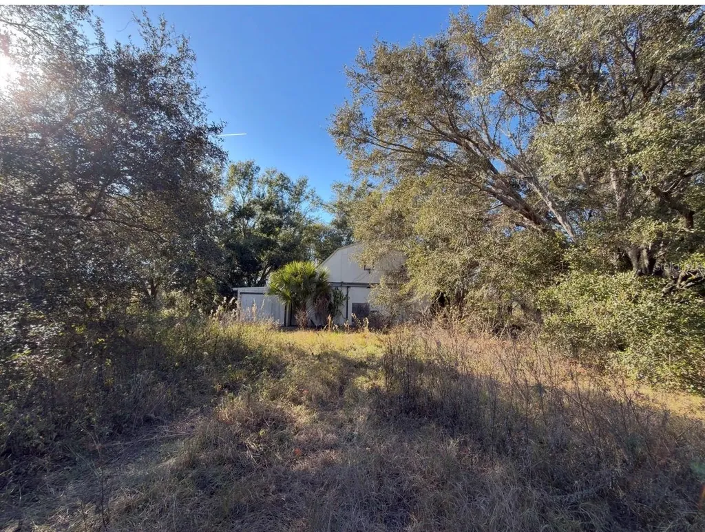 24939 County Road 33 Groveland FL 34736