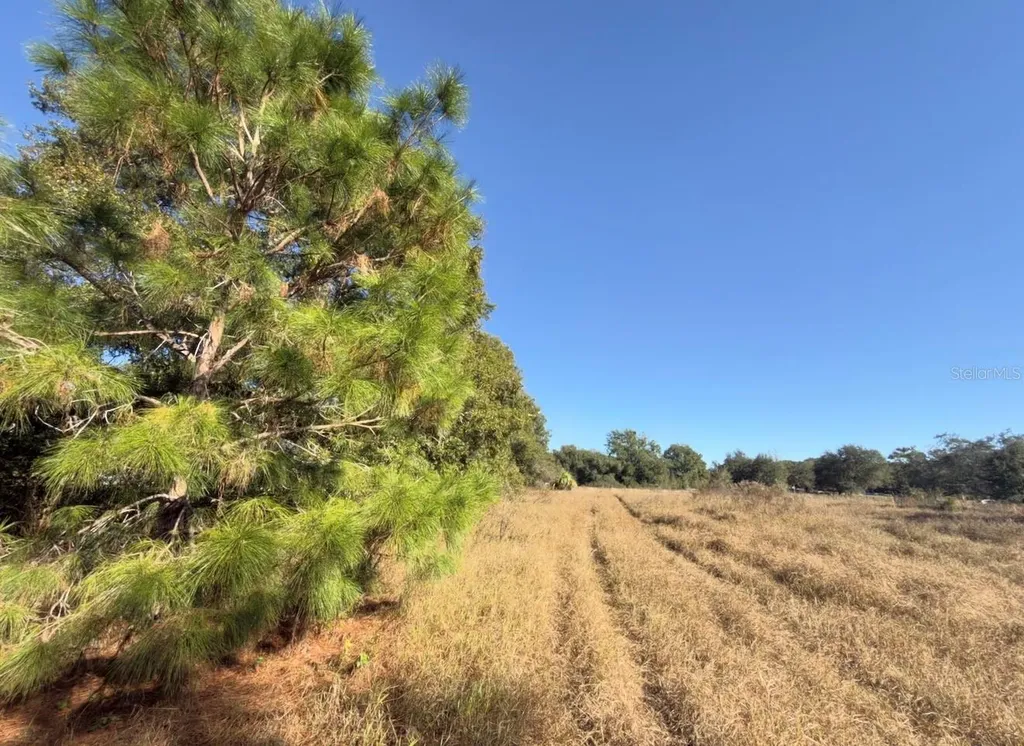 24939 County Road 33 Groveland FL 34736