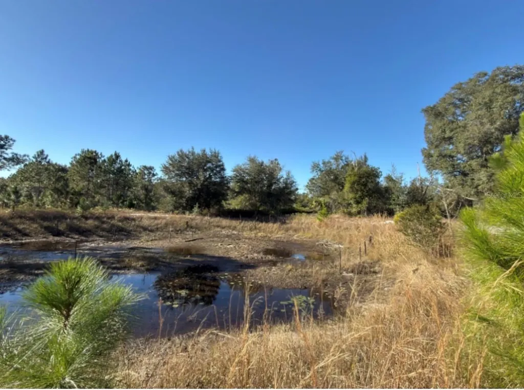 24939 County Road 33 Groveland FL 34736