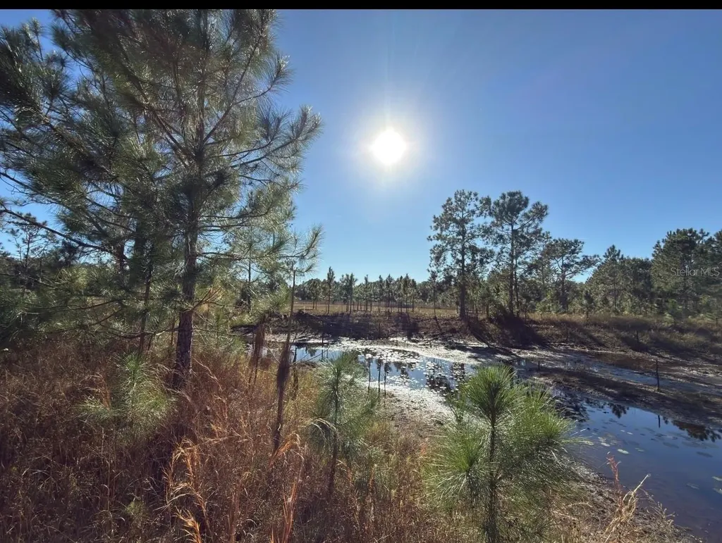 24939 County Road 33 Groveland FL 34736