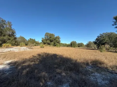 24939 County Road 33 Groveland FL 34736