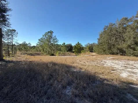 24939 County Road 33 Groveland FL 34736