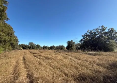 24939 County Road 33 Groveland FL 34736