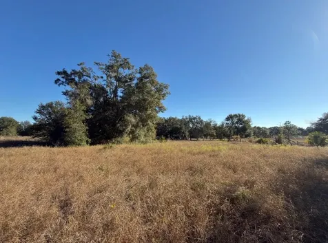 24939 County Road 33 Groveland FL 34736