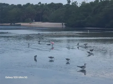 360 Gulf Of Mexico Drive Longboat Key FL 34228