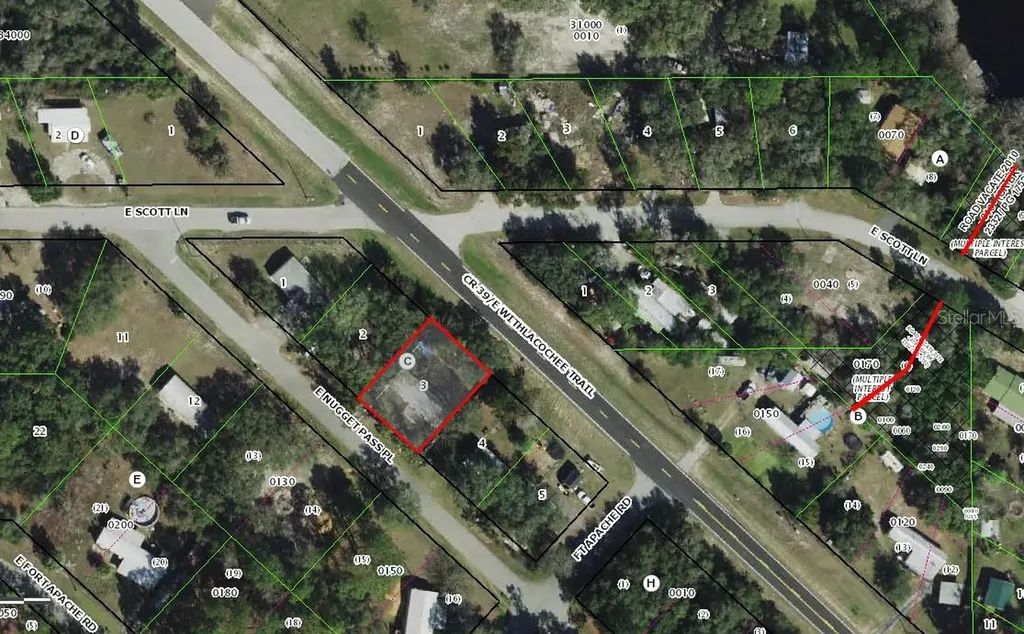 4255 E Nugget Pass Place Dunnellon FL 34434