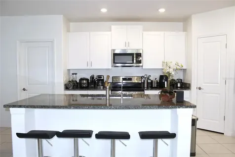 2058 Stellar Brilliance Way Lutz FL 33558