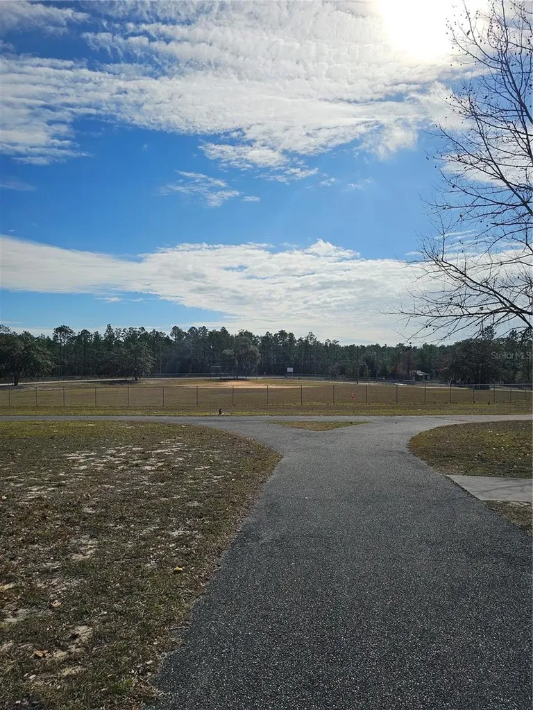 Tbd SE 136th Terrace Dunnellon FL 34431