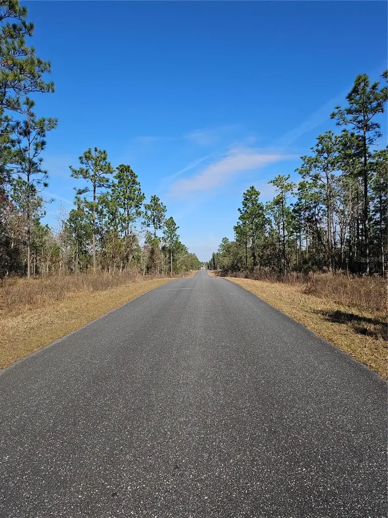 Tbd SE 136th Terrace Dunnellon FL 34431