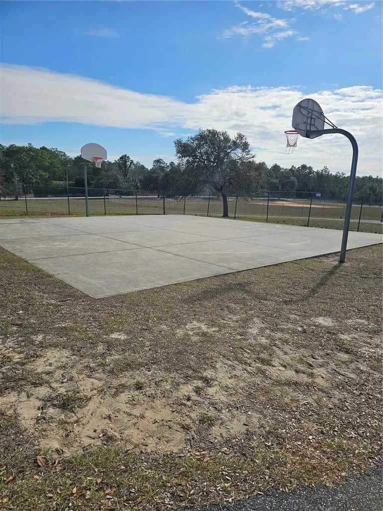 Tbd SE 136th Terrace Dunnellon FL 34431