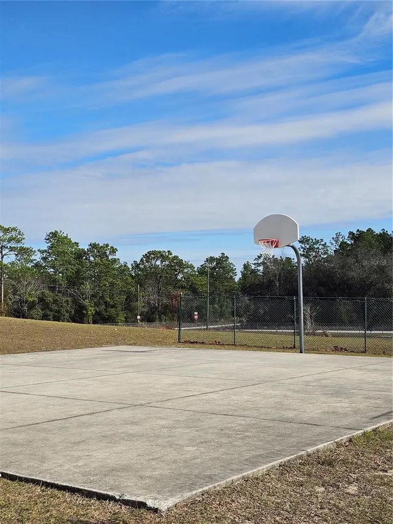 Tbd SE 136th Terrace Dunnellon FL 34431