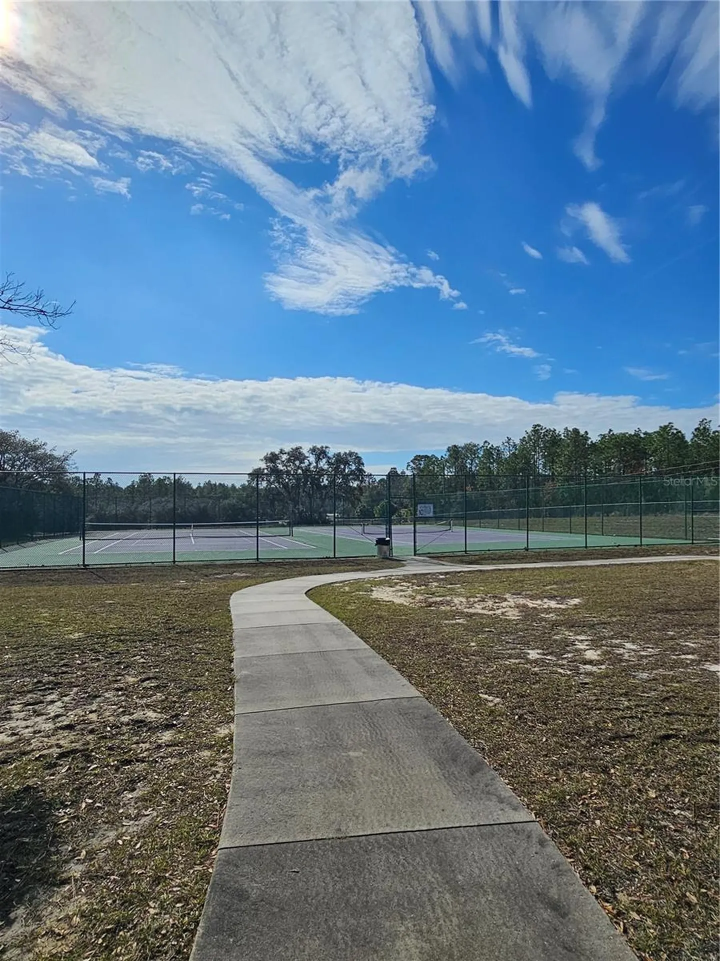 Tbd SE 136th Terrace Dunnellon FL 34431