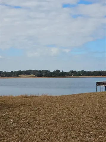 Tbd SE 136th Terrace Dunnellon FL 34431