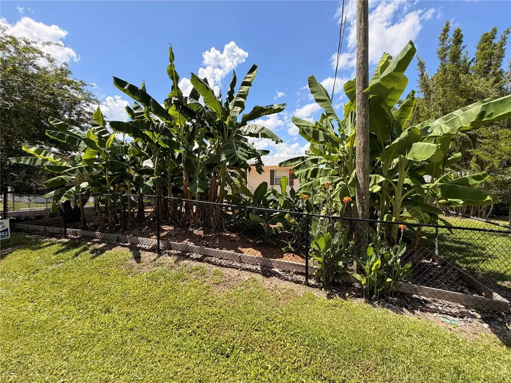 24521 Alligator Road Astor FL 32102