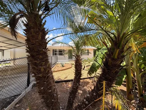 24521 Alligator Road Astor FL 32102