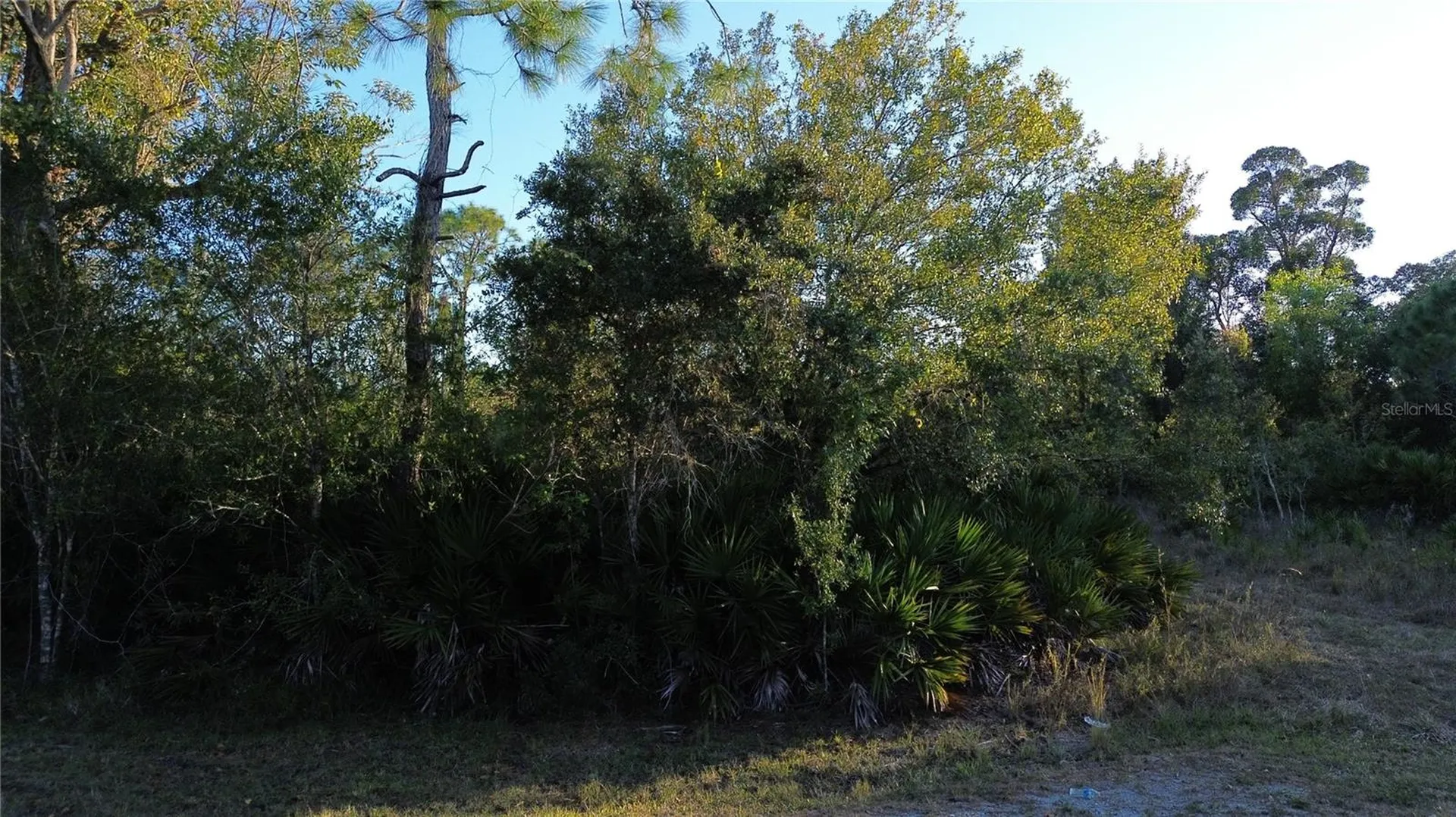 27481 Senator Drive Punta Gorda FL 33955