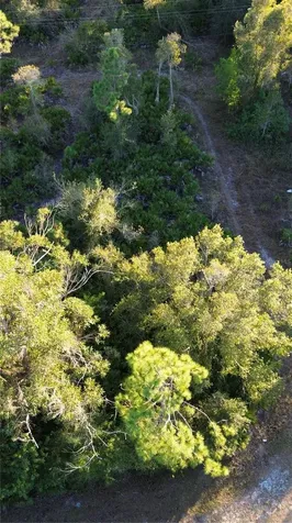 27481 Senator Drive Punta Gorda FL 33955