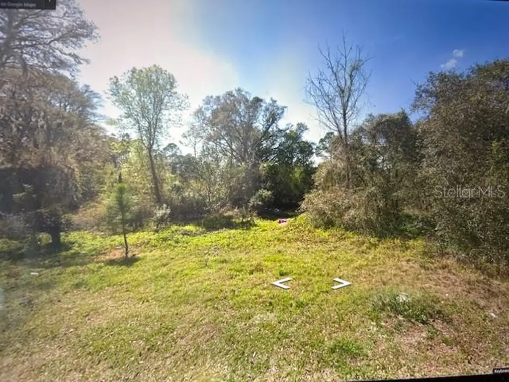 Toms Pond Road Eustis FL 32726