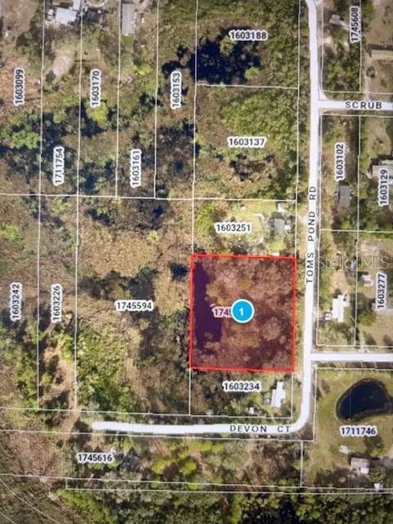 Toms Pond Road Eustis FL 32726