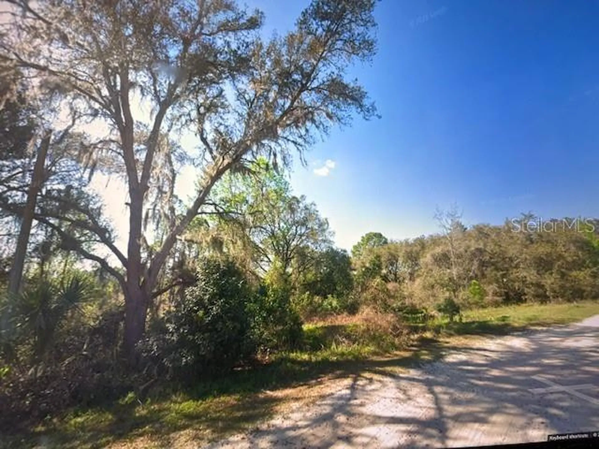 Toms Pond Road Eustis FL 32726