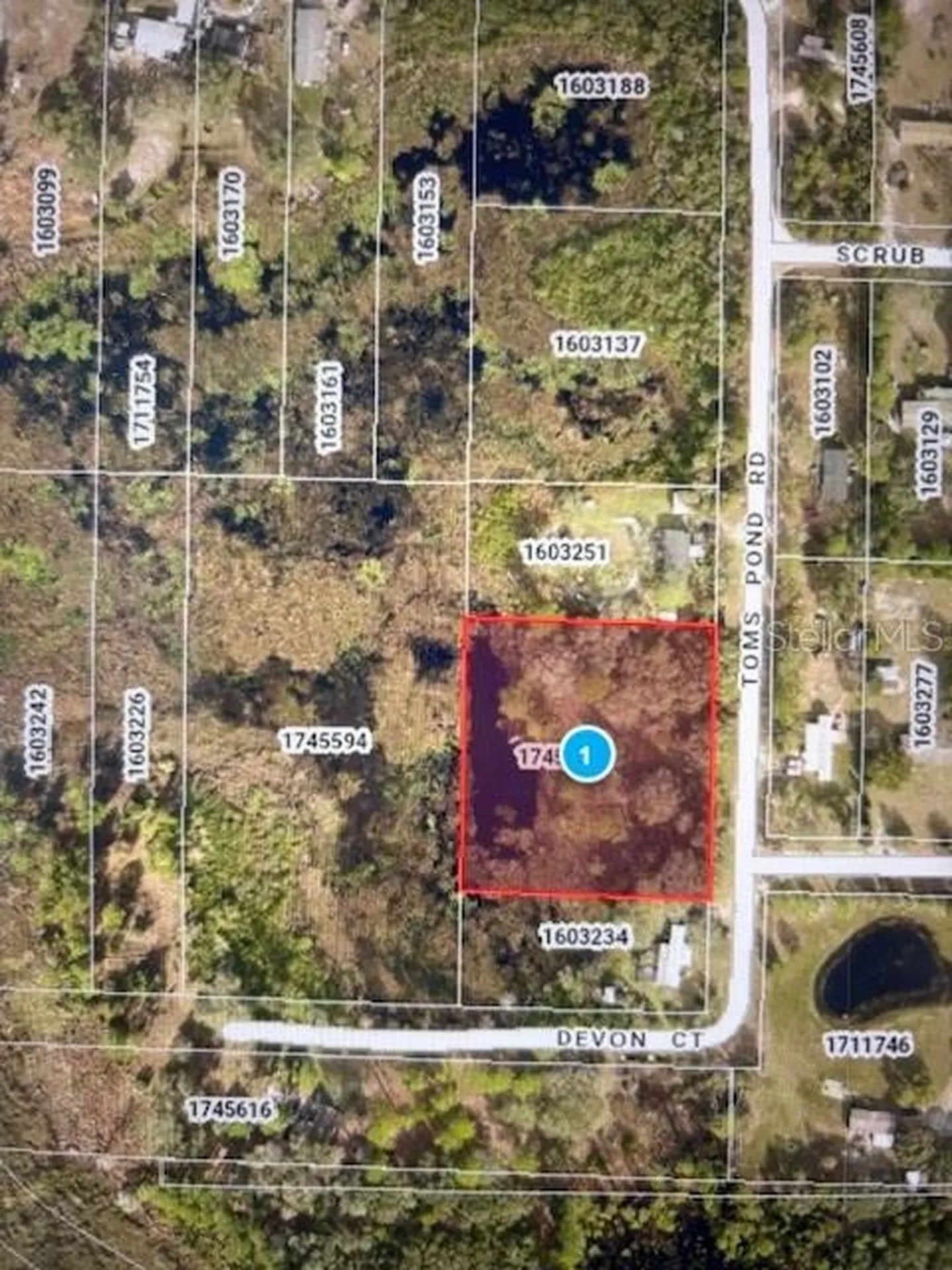 Toms Pond Road Eustis FL 32726