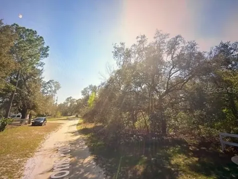 Toms Pond Road Eustis FL 32726