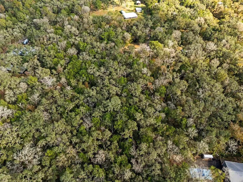 12047 Timber Lane Brooksville FL 34601