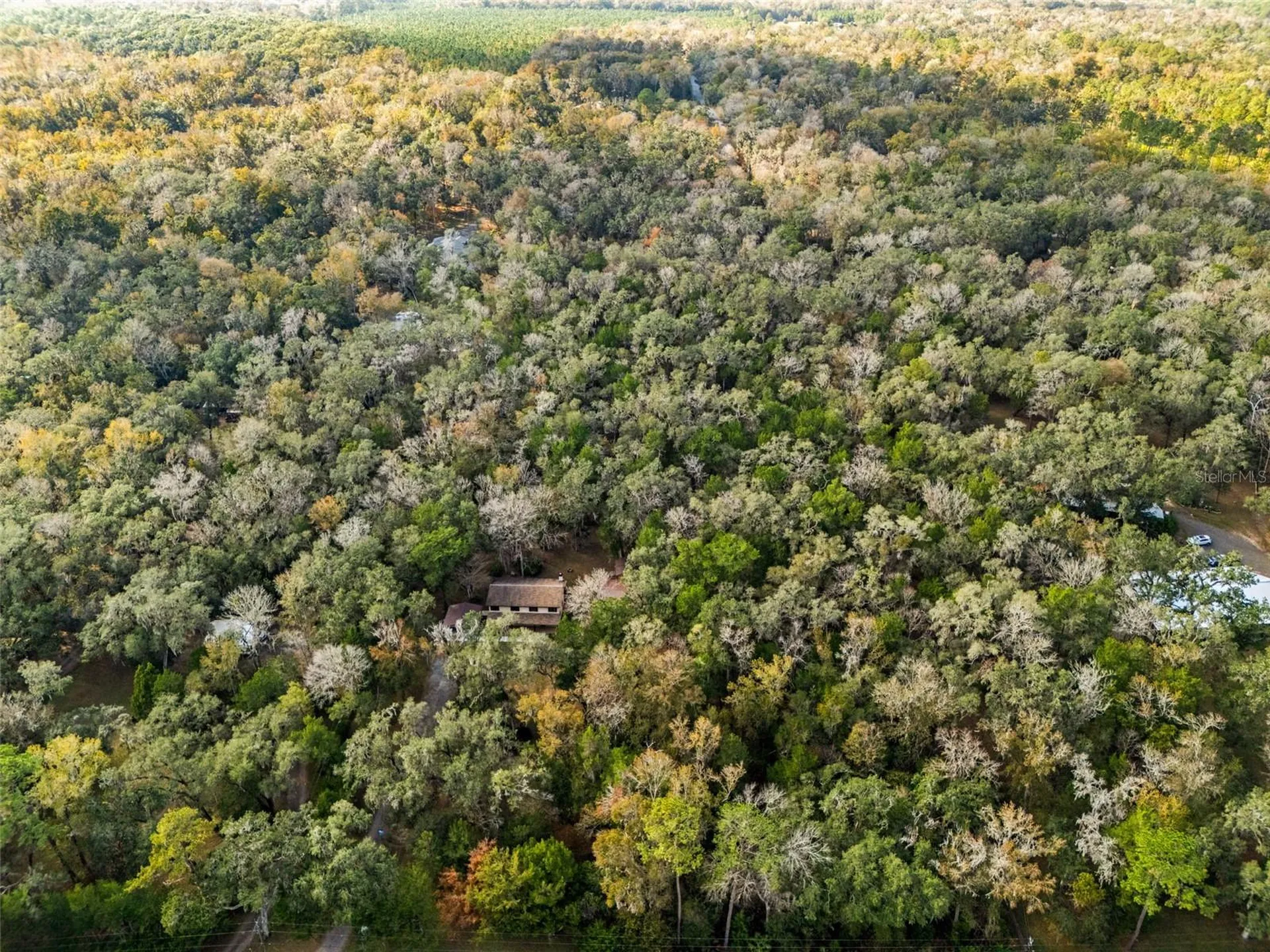 12047 Timber Lane Brooksville FL 34601