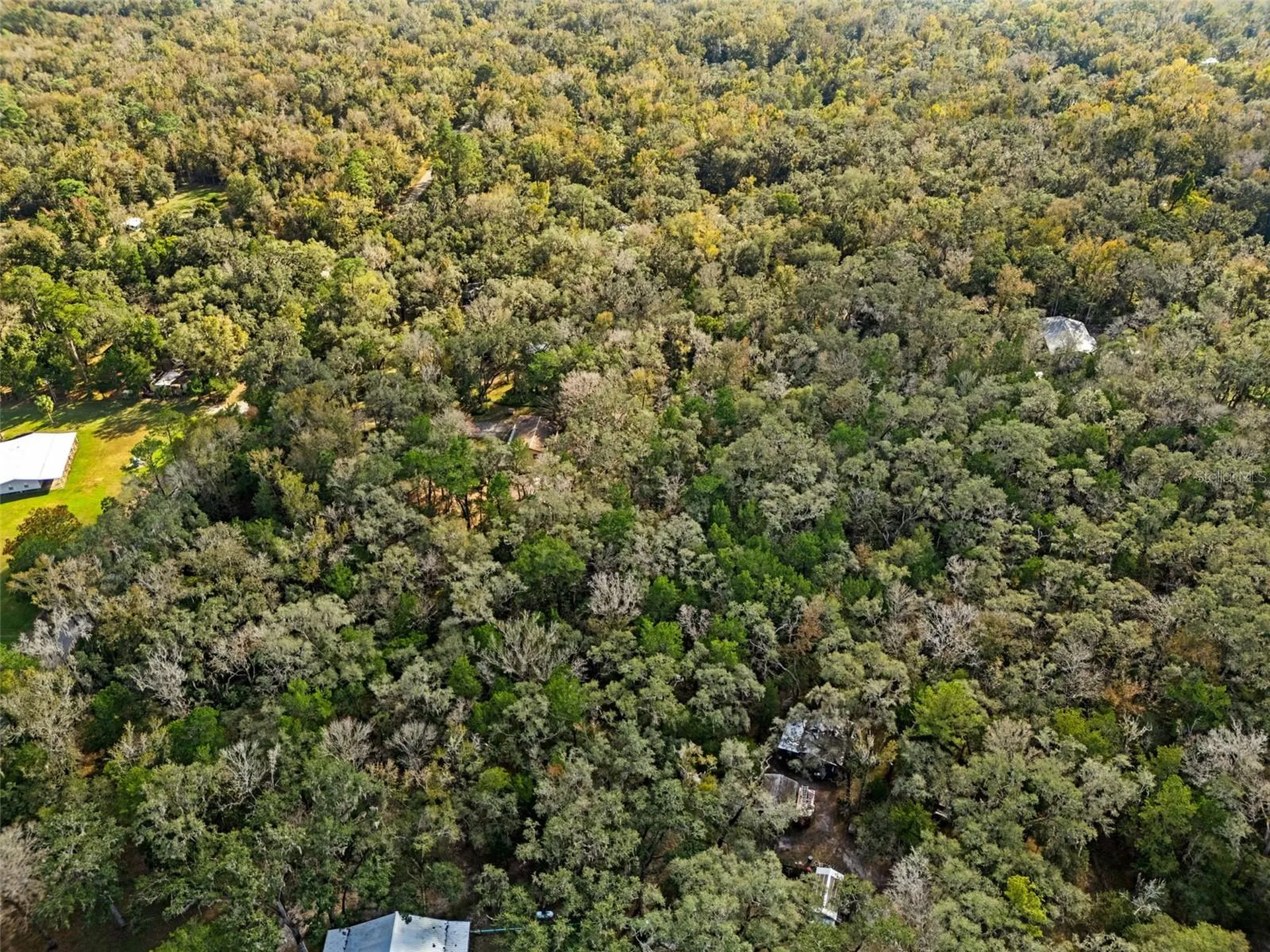 12047 Timber Lane Brooksville FL 34601