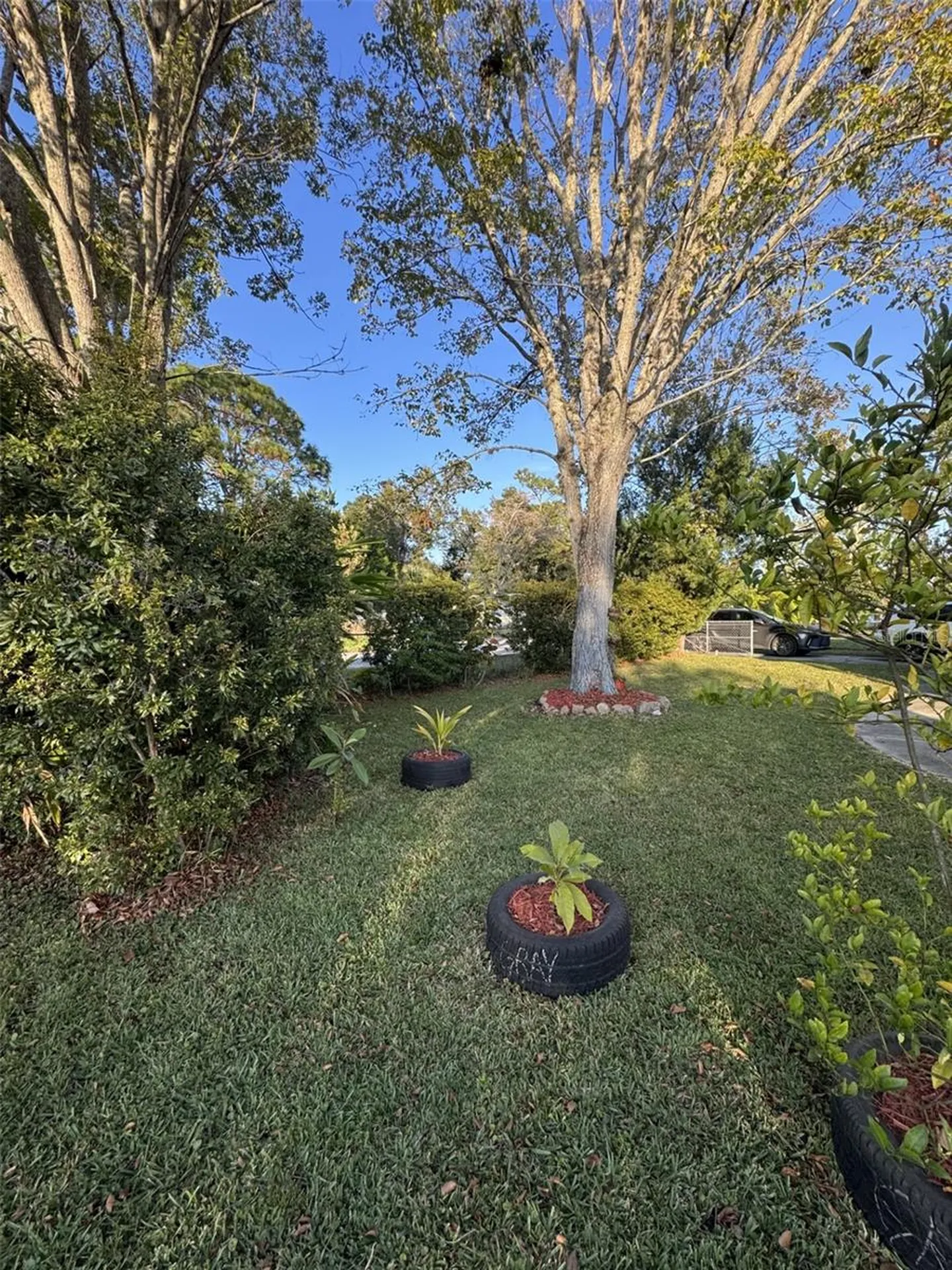 1111 Avenue G Ormond Beach FL 32174